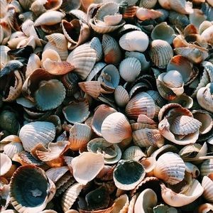 Meet your Posher, Jade